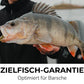 🎣 Univerzální teleskopická rybářská sada