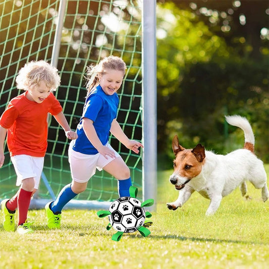 🐕⚽Psí fotbalová hračka