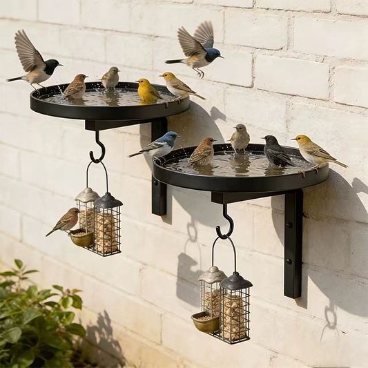 🐦💧 50% SLEVA! Nástěnná kovová napáječka pro ptáky – Odolná vůči povětrnostním vlivům snadno čistitelná a ideální pro zahradu balkon a terasu 🌿