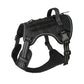 🐕🏔️Odolný vestovitý postroj pro psy pro venkovní použití – Nastavitelný prodyšný a reflexní – Perfektní na turistiku běh i každodenní nošení ✨