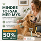 🐕 Oboustranný kartáč na srst pro domácí mazlíčky – Odstraňuje chomáče a vypadlé chlupy | UŠETŘETE dnes 50 %! ✨